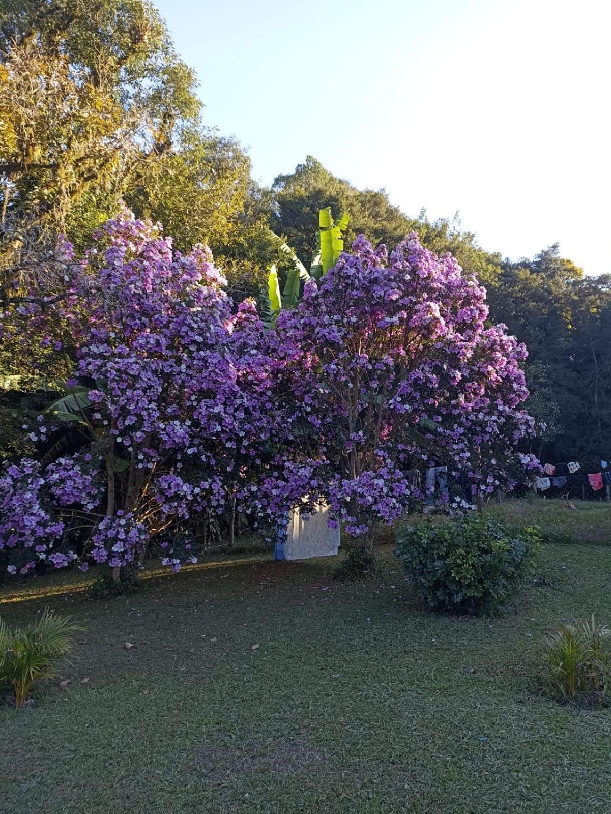 Chacara Cafe Nakombi'S Colombo Kültér fotó